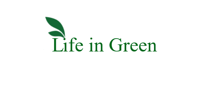 Life in Green farmland project Hyderabad